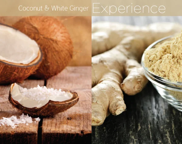 Butter de coco y jengibre blanco 113g - Cuccio Naturale Crema ultrahidratante, renovadora, suavizante y perfumada. Hidratación profunda para la reparación de la piel seca. Ingredientes naturales. - Image 3